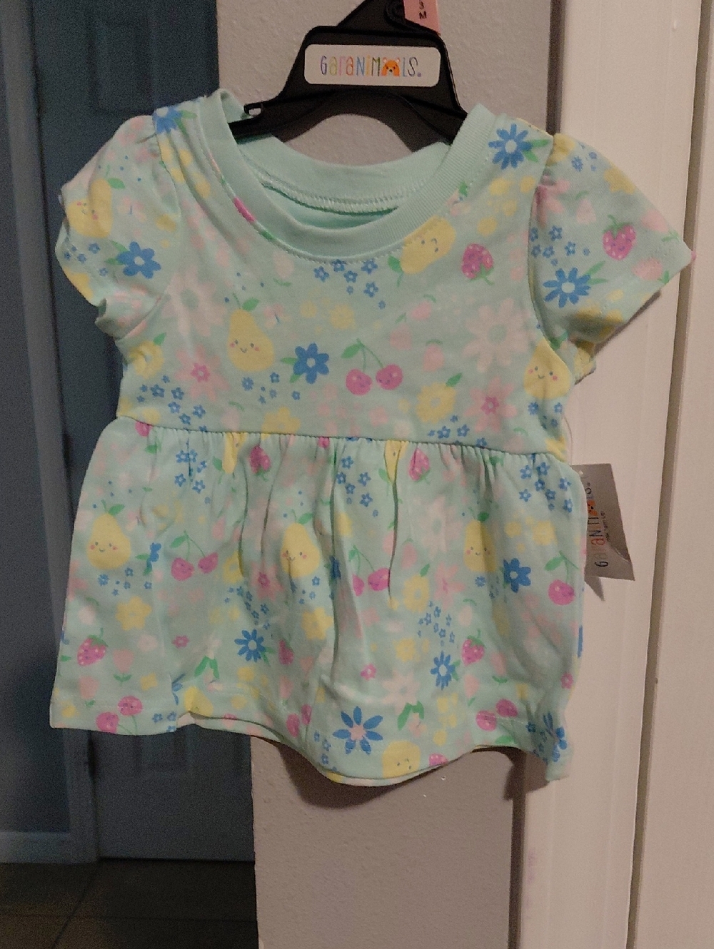 Garanimals Mint Green Floral & Fruit Dress